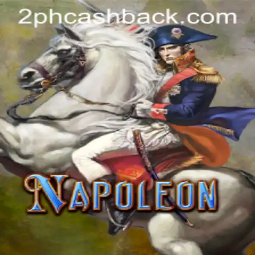 Exploring the Strategic Depth of the Card Game Napoleon: The 2ph Variant